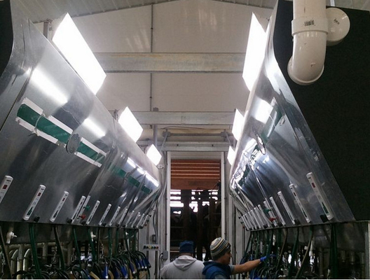 Liên tục hiện tại Chi phí Led Lights tuyến tính 85Watt Hạ Bảo trì